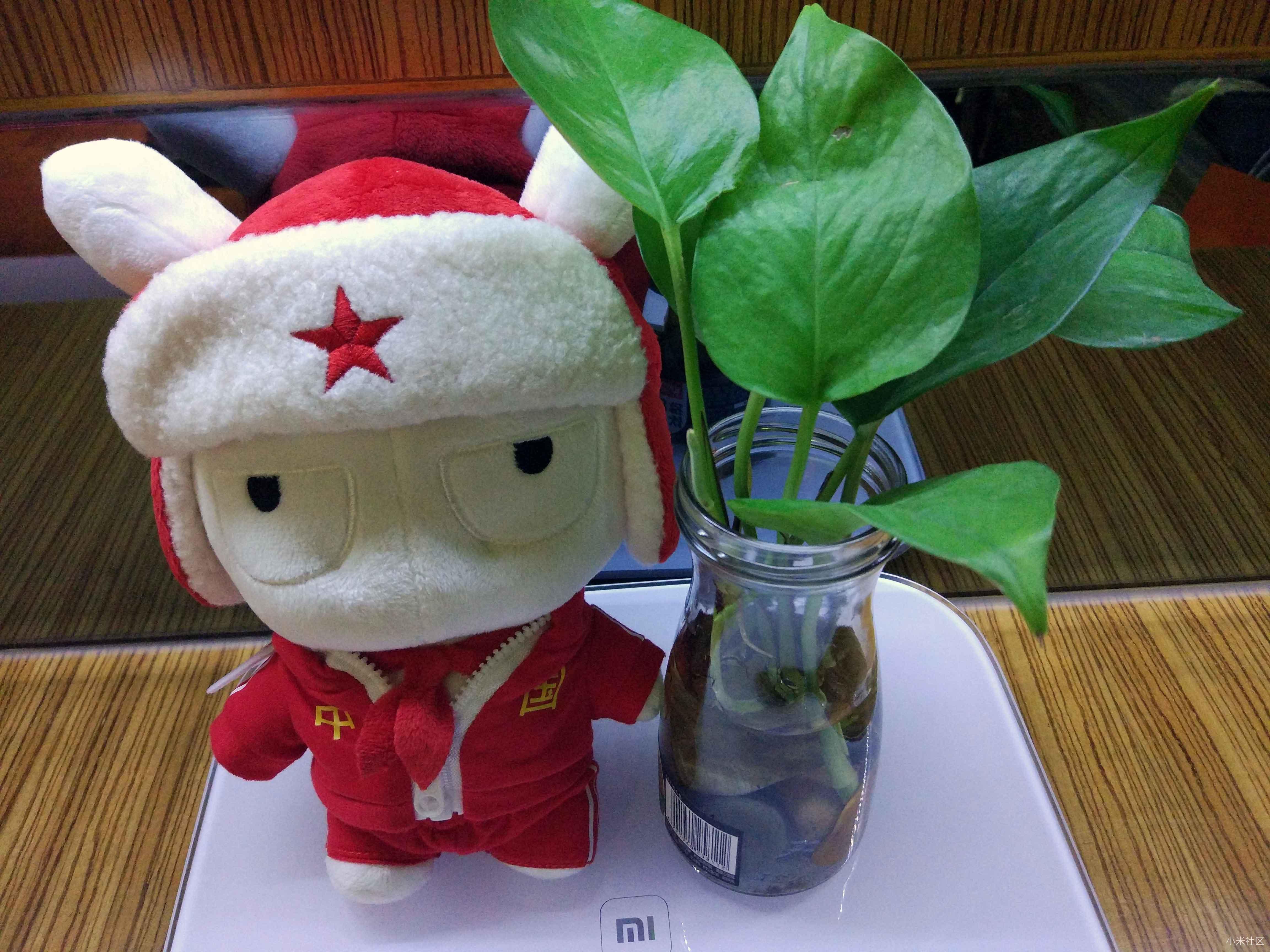 是小米公司设计的带有雷锋帽的兔子形象,现在已成为小米公司的吉祥物