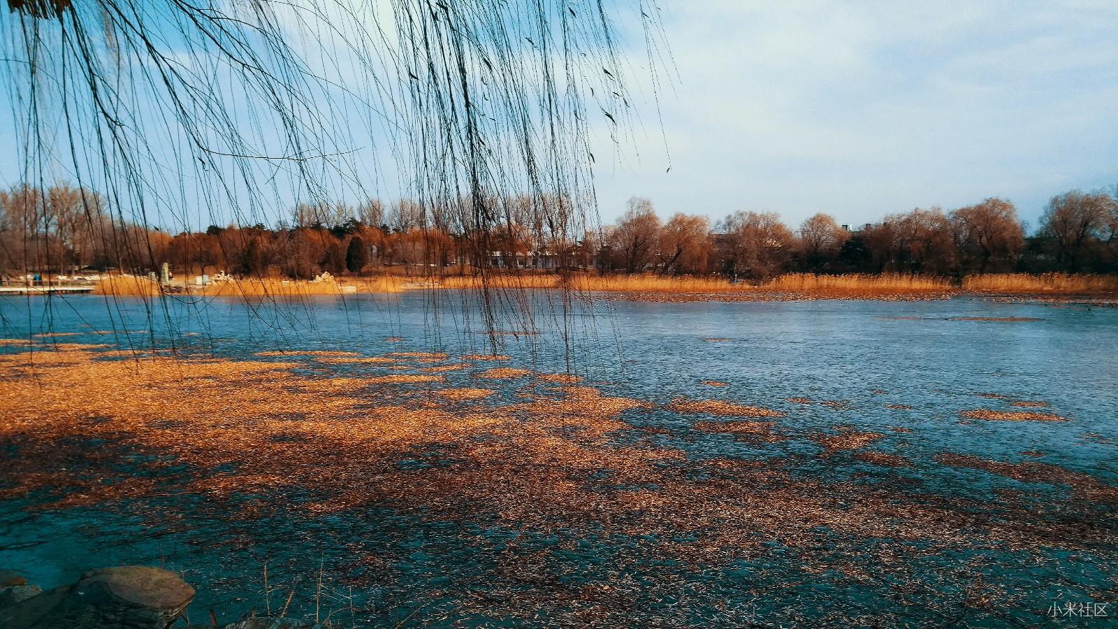 小米note顶配版行走在历史遗留的画景中