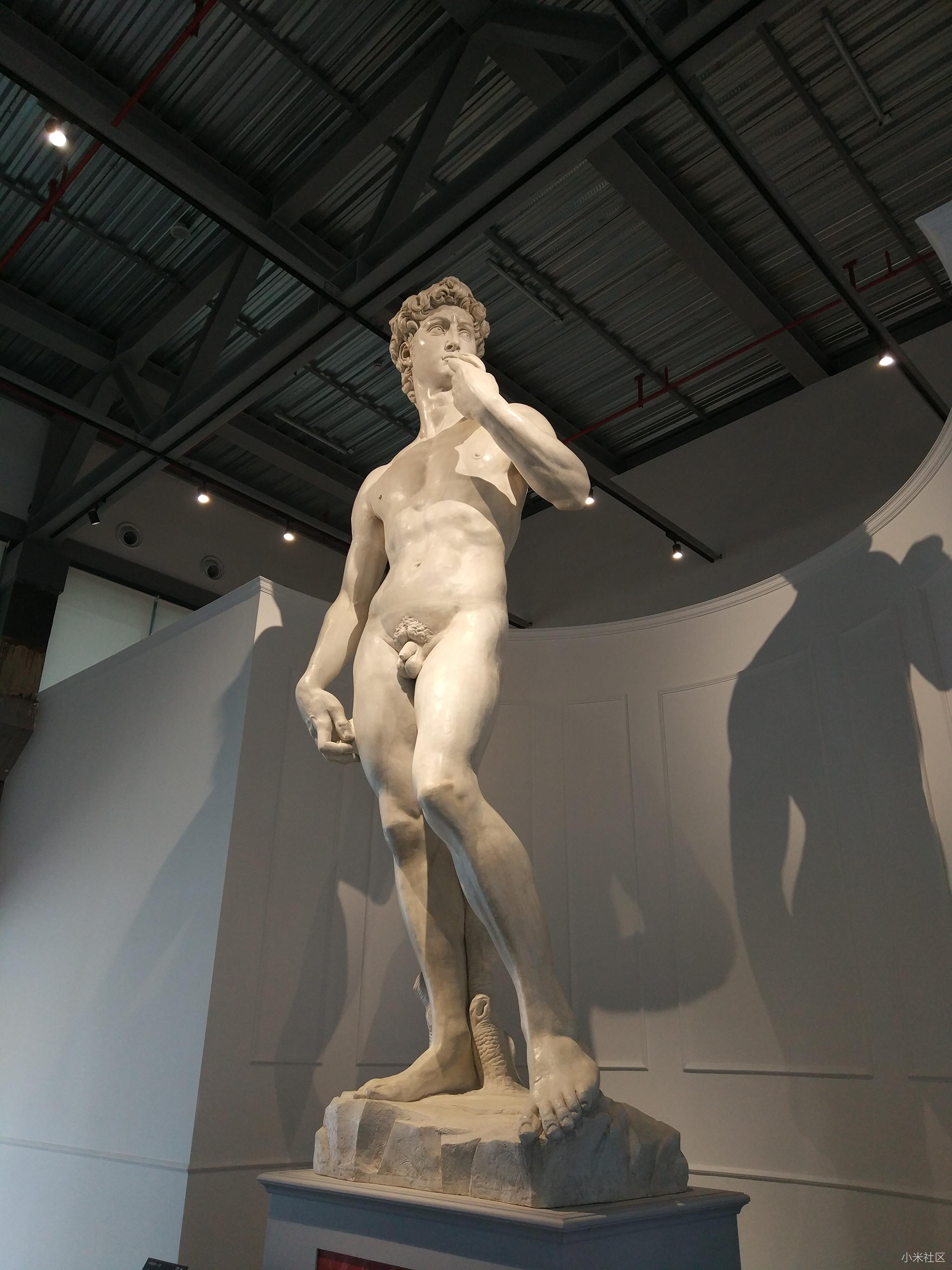 记 米开朗基罗大展 之行