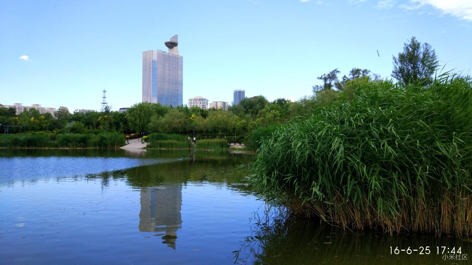 小米5拍摄丶南湖绿色广场乌鲁木齐