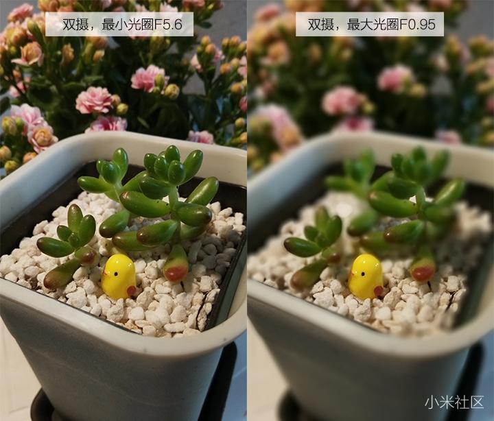 来两张双摄不同光圈的效果对比图,小光圈的前提下,双摄的虚化才比较